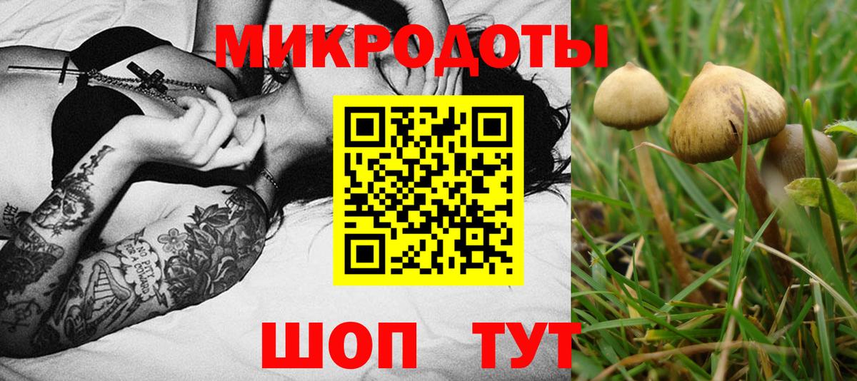 Майский  Псилоцибиновые грибы Magic Shrooms  Вход с VPN 